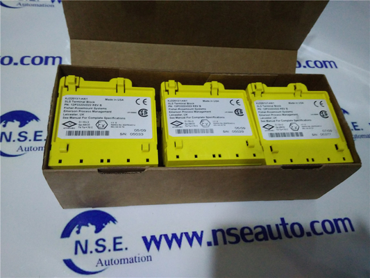 Emerson Delta V KJ4101X1-BC1 12P1872X022 IS Power Supply Carrier KJ4101X1-BC1