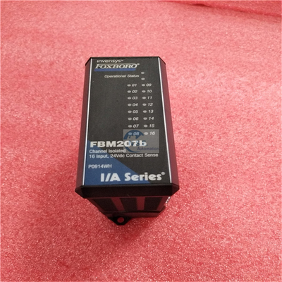 Foxboro FEM100 Fieldbus Expansion Module FEM100 P0973CA in stock now