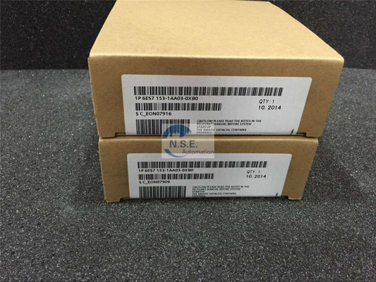 Siemens 6DD1607-0AA2 High Quality Well-Known Brands In Stock Now 6DD1607-0AA2